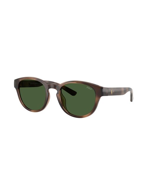 Polo Ralph Lauren Green Sunglass Ph4233u for men