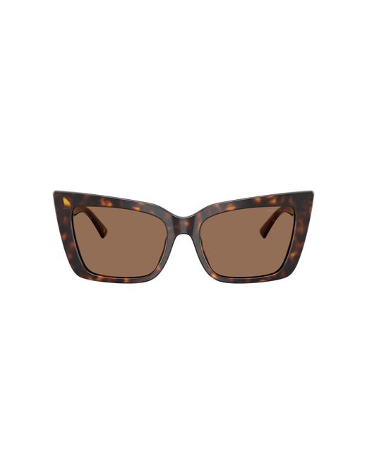 Jimmy Choo Black Sunglass Jc5041