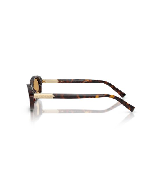 Tiffany & Co Black Sunglass Tf4250