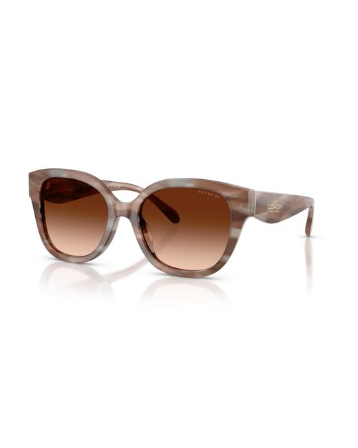 COACH Black Sunglass Cby94