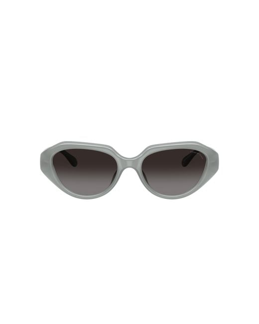 COACH Black Sunglass Cby77