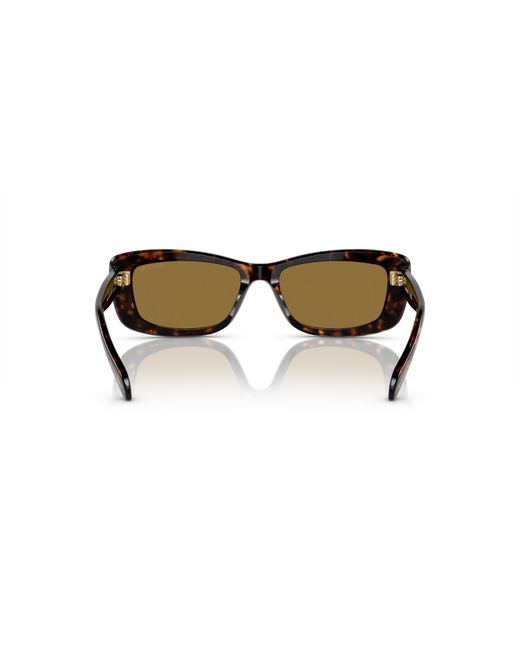 Swarovski Black Sunglass Sk6008