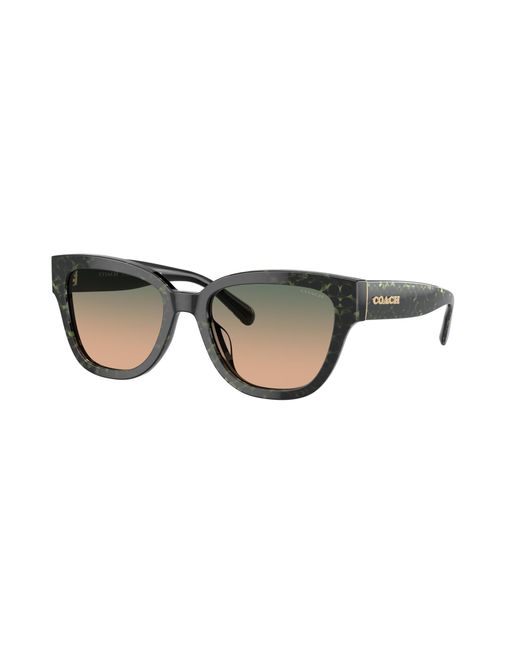COACH Black Hc8379u Universal Fit Sunglasses