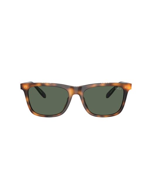 Polo Ralph Lauren Black Sunglass Ph4205u for men