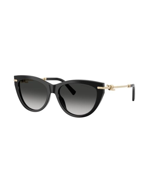 Tiffany & Co Black Sunglass Tf4253