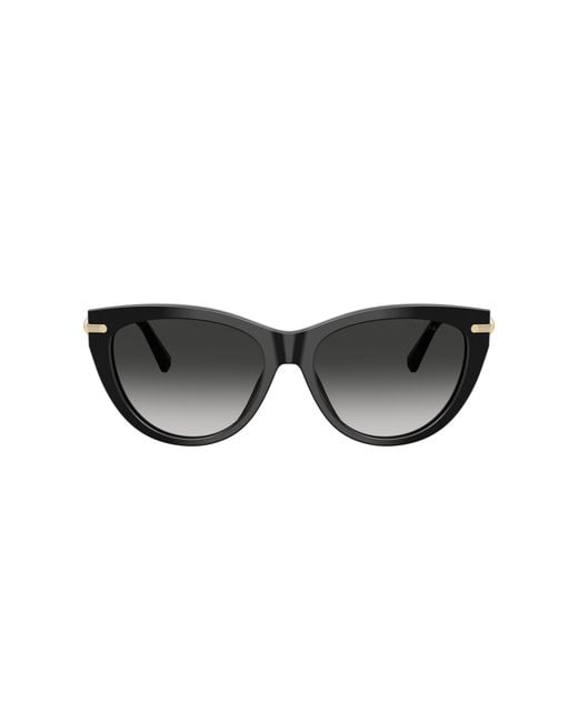 Tiffany & Co Black Sunglass Tf4253