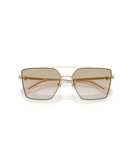 Jimmy Choo Black Sunglass Jc4016hb