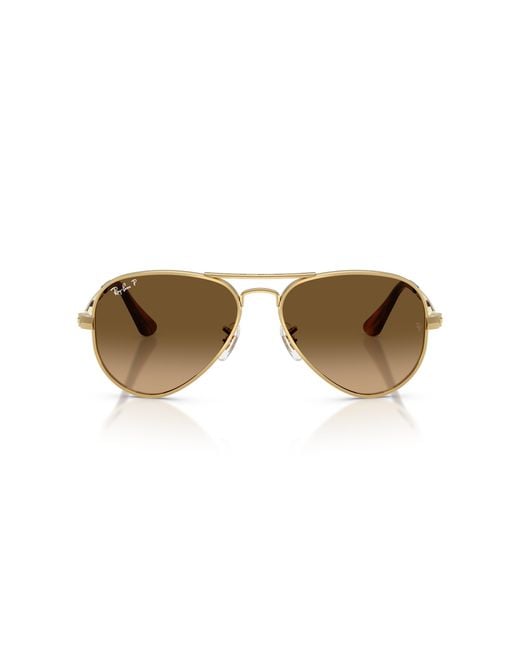 Ray-Ban Black Sunglass Rb3925 Aviator Max