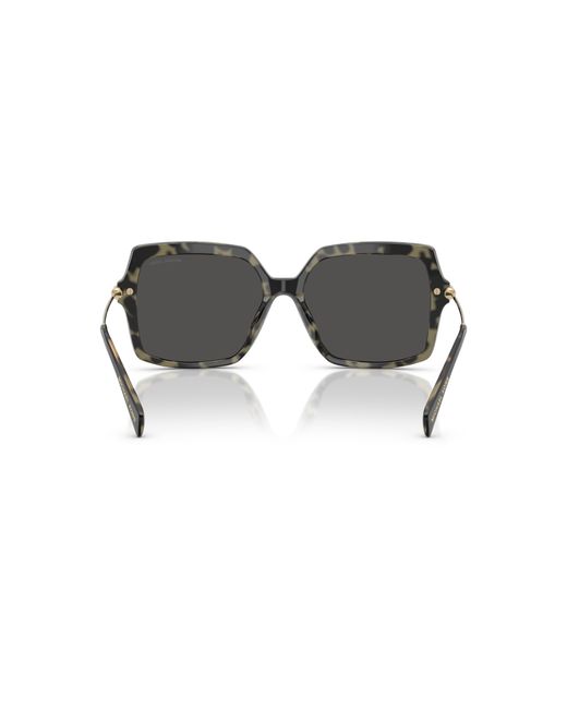 Michael Kors Black Mk2247U Quogue/Tortoise