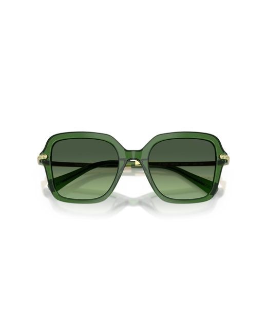 Swarovski Green Sunglass Sk6040