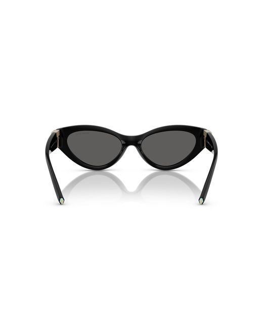 Tiffany & Co Black Sunglasses Tf4225U