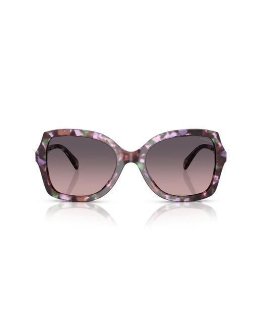 COACH Black Sunglass Cw225