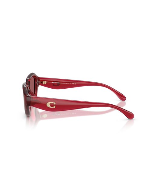 COACH Black Sunglass Cby77