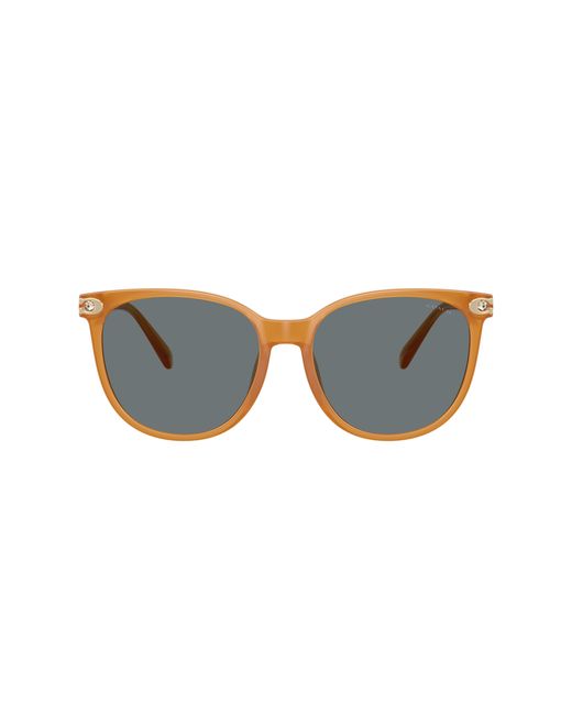 COACH Black Sunglasses Cw428