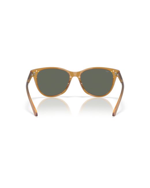 Costa Black Sunglass Catherine