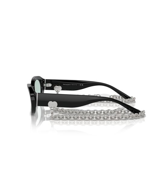 Tiffany & Co Black Sunglass Tf4221
