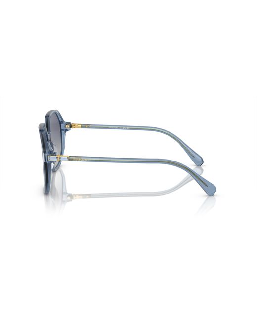 Swarovski Black Sk6003 Sunglasses