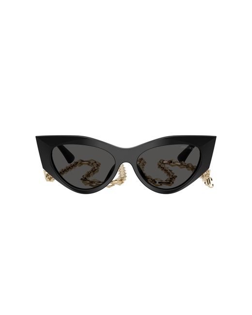Jimmy Choo Black Sunglass Jc5045u