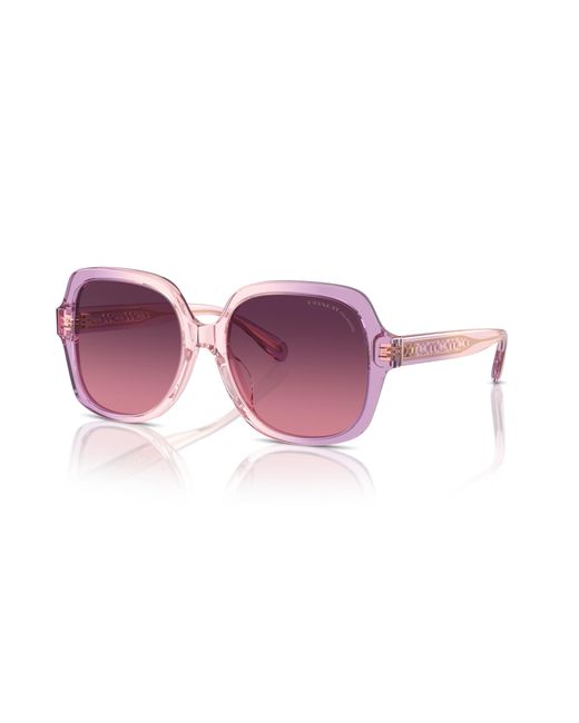 COACH Black Sunglass Cr614