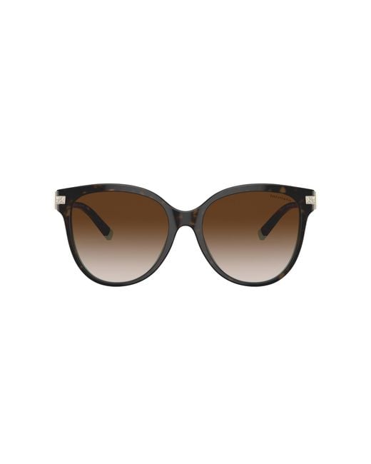 Tiffany & Co Black Sunglass Tf4193b