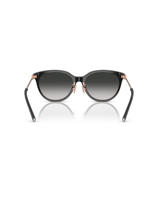 Tiffany & Co Black Sunglass Tf4243d