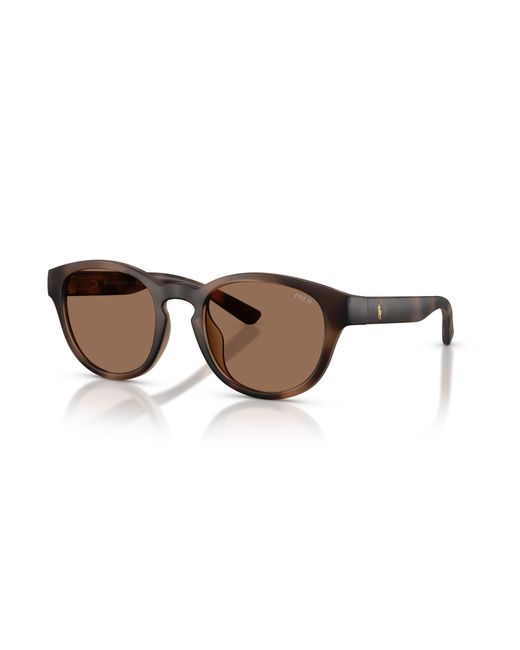 Polo Ralph Lauren Black Sunglass Ph4233u for men