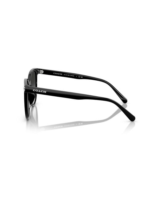 COACH Black Sunglass Cw428
