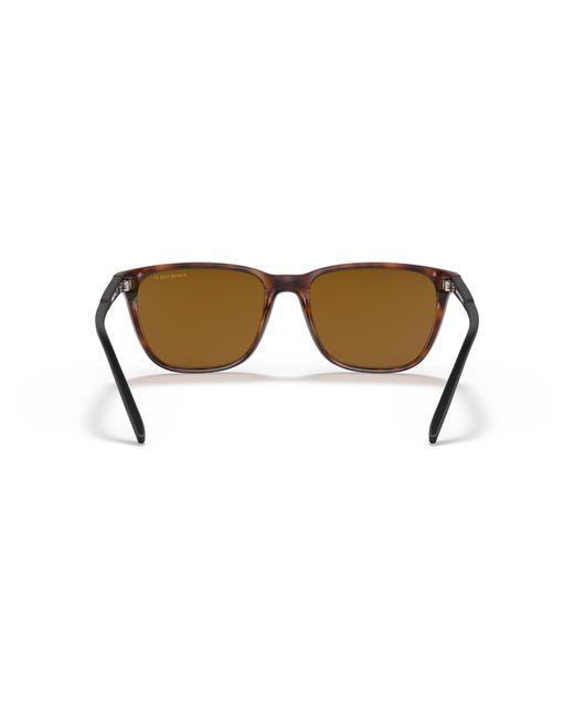 Arnette Black Sunglass An4291 Cortex for men