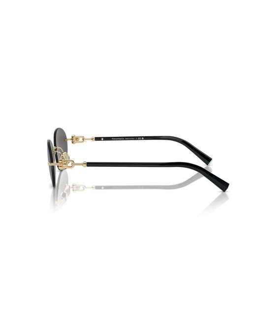 Tiffany & Co Black Sunglasses Tf3104D