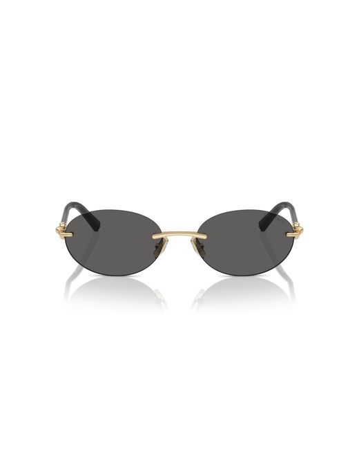 Tiffany & Co Black Sunglasses Tf3104D