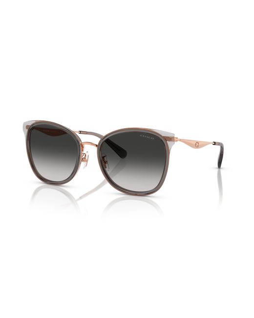 COACH Black Sunglass Cw185