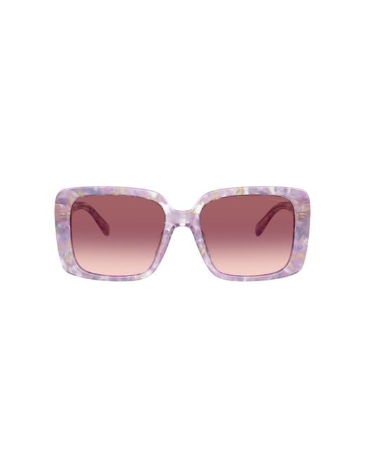 COACH Black Sunglasses Cad55