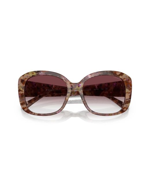 COACH Black Sunglass Hc8363u Ch564