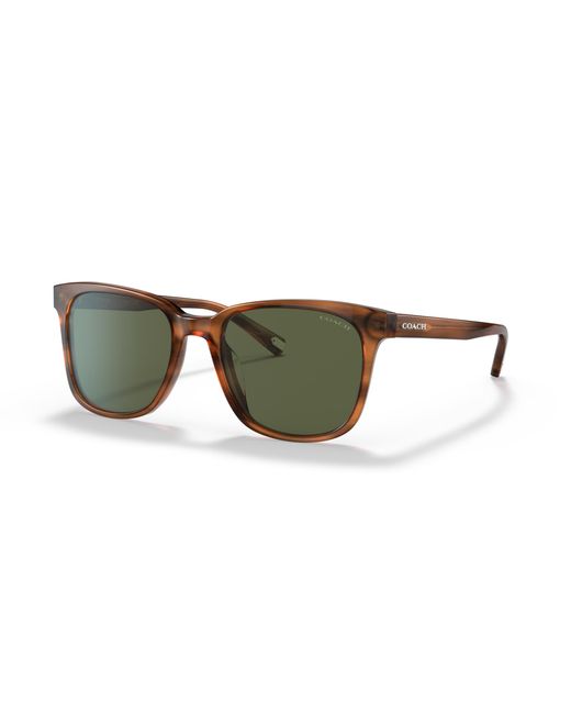 COACH Black Sunglass Hc8313u C2095 for men