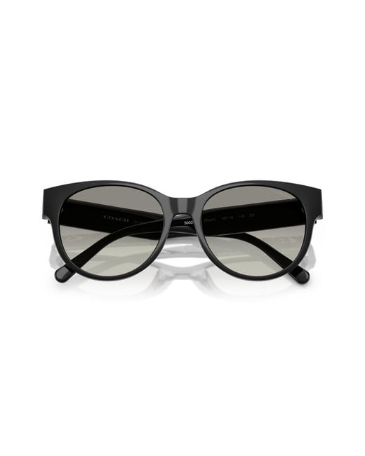 COACH Black Sunglass Cae87