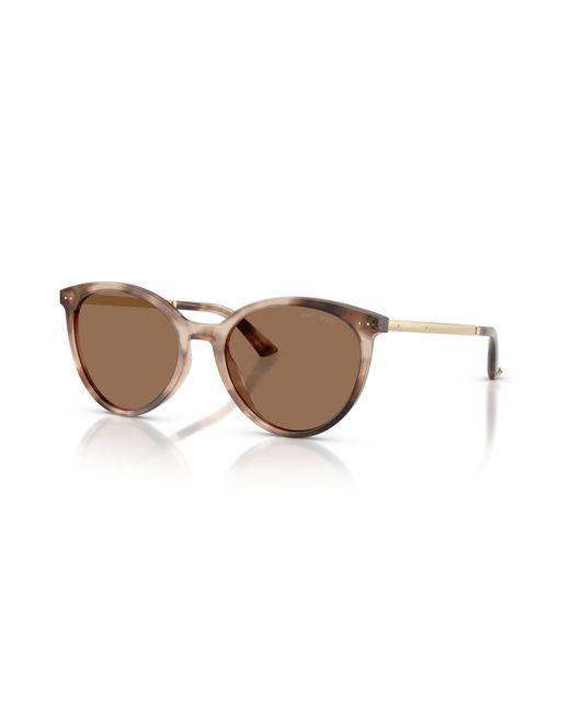 Jimmy Choo Black Sunglass Jc5060