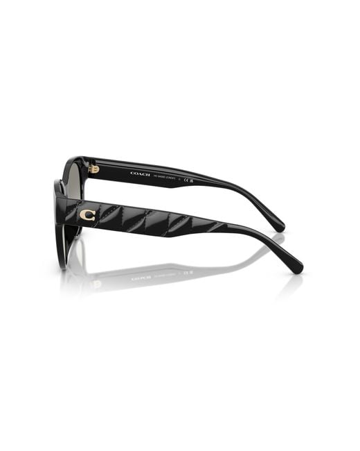 COACH Black Sunglass Cae87