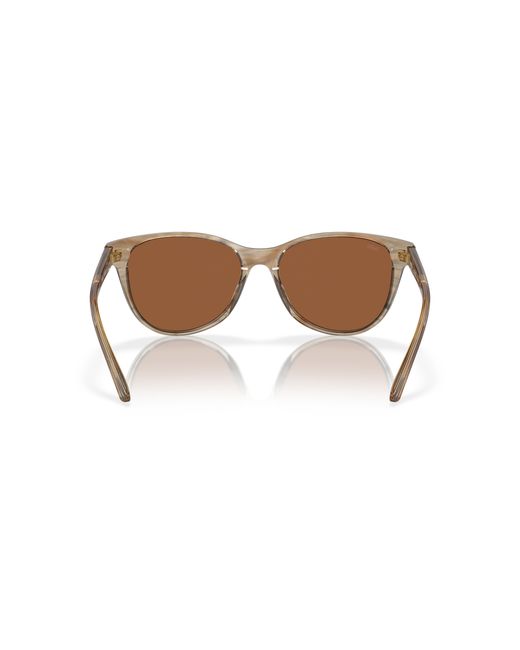 Costa Black Sunglass Catherine