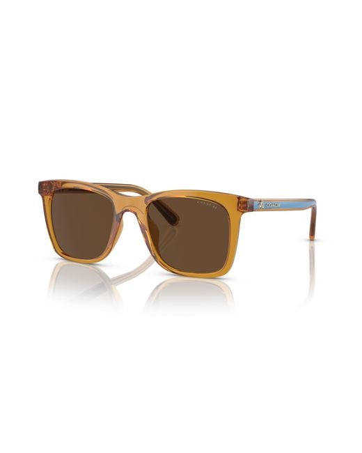 COACH Black Sunglass Ch561
