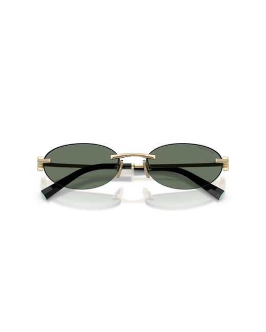 Tiffany & Co Black Sunglass Tf3119d