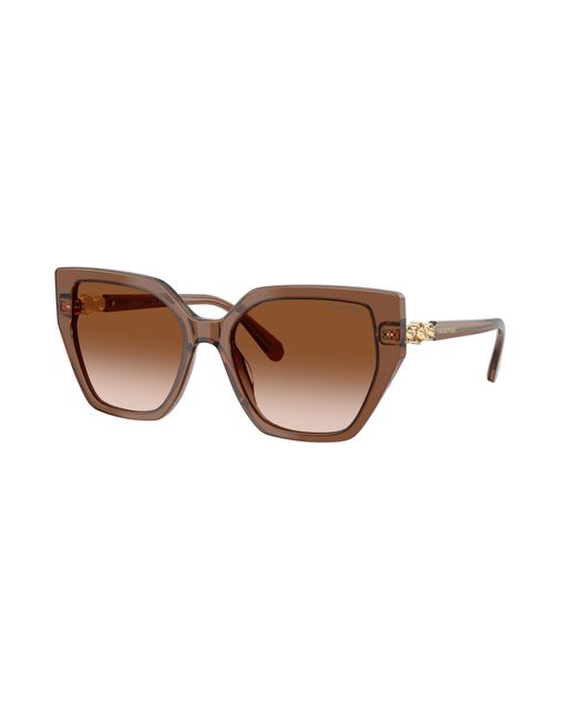 Swarovski Black Sunglass Sk6016