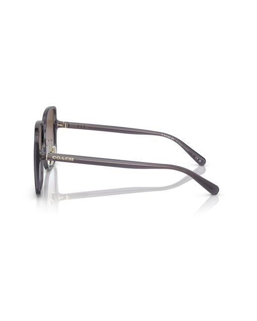 COACH Black Sunglass Ch572