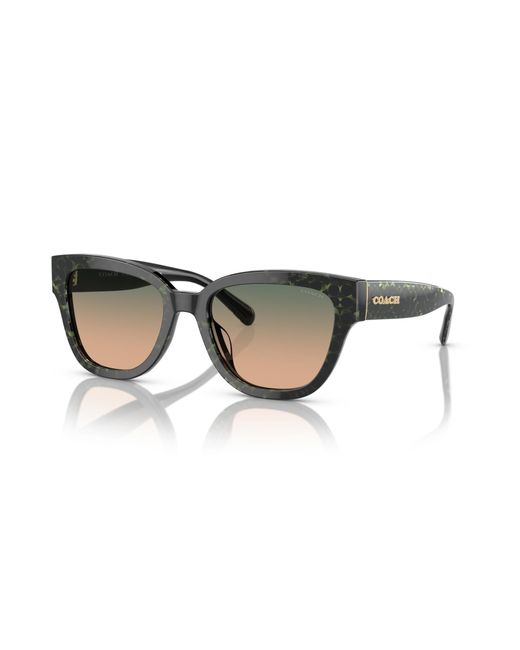 COACH Black Hc8379u Universal Fit Sunglasses