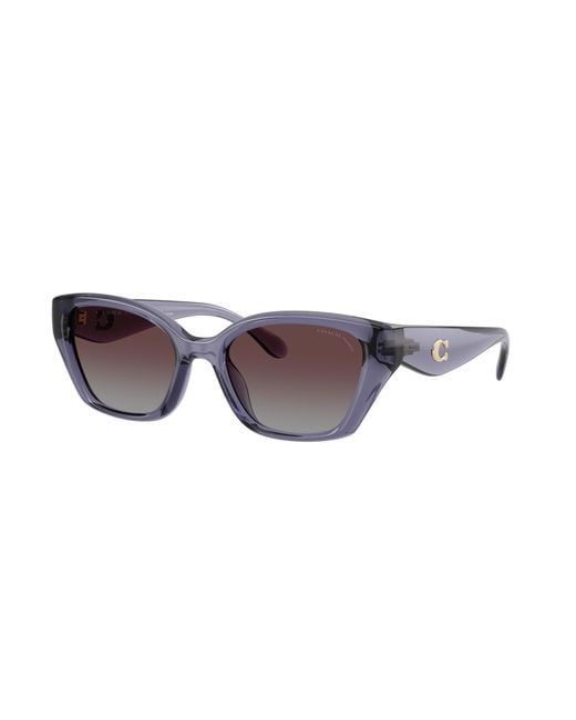 COACH Black Sunglass Cby91