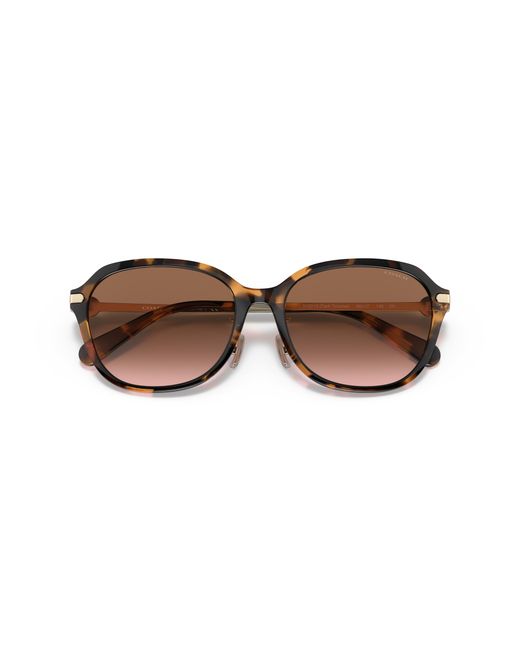 COACH Black Sunglass C6199