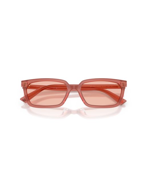 Jimmy Choo Black Sunglass Jc5050u