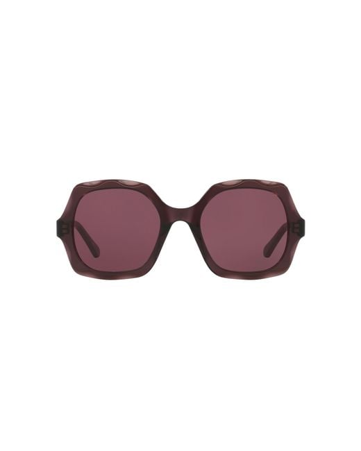 Chloé Black Sunglass CH0226S