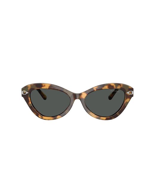 Ralph Lauren Black Sunglass Rl8236u