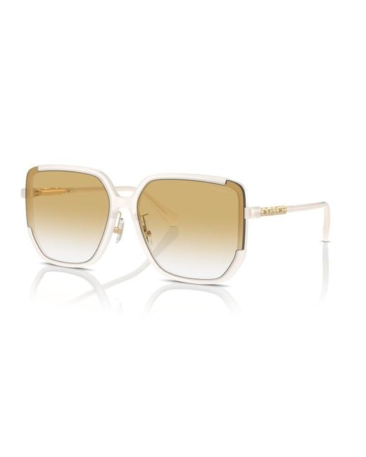 COACH Black Sunglass Cr635