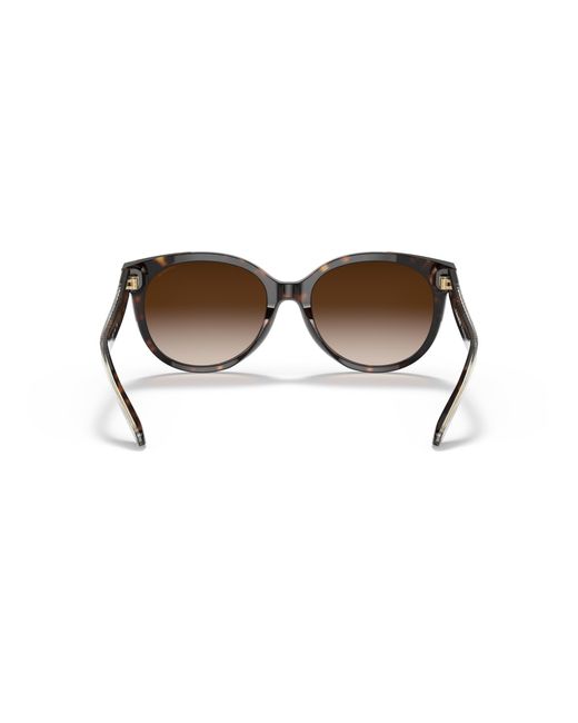 COACH Black Sunglasses Hc8321f